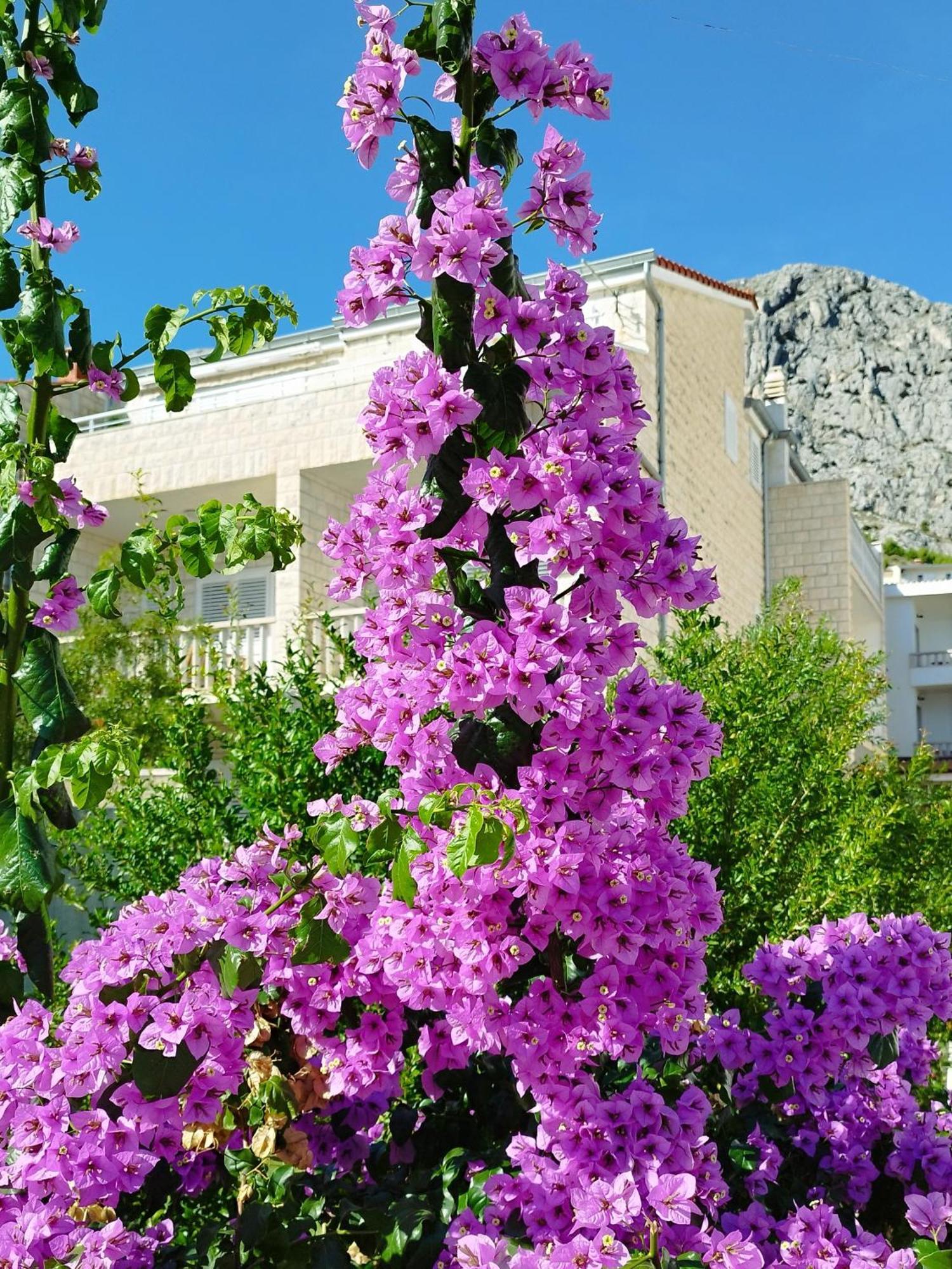 Ferienwohnung Am Sandstrand Omiš Exterior foto